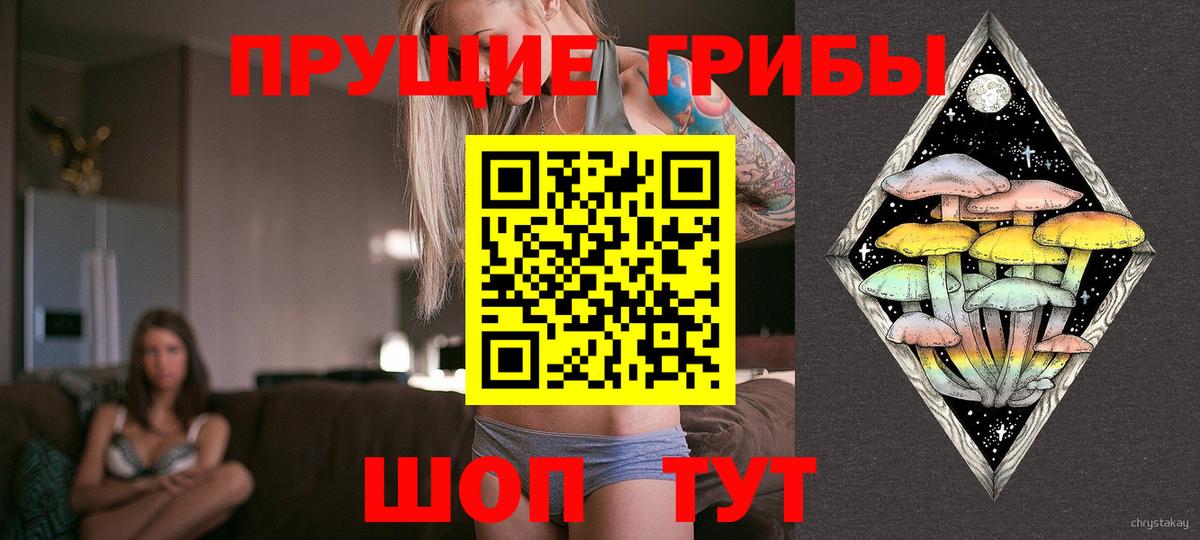 купить наркоту  Галлюциногенные грибы Psilocybe  Вход с VPN  Клин 