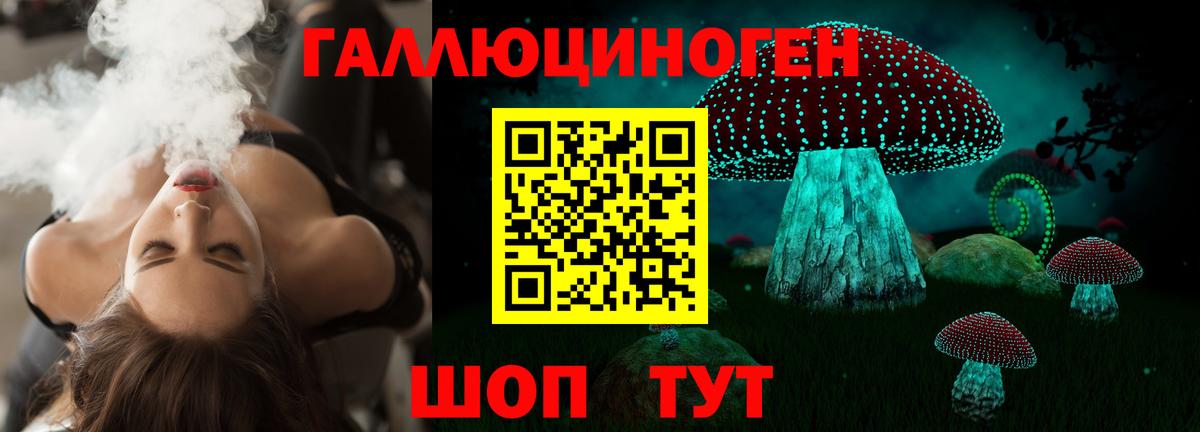 Псилоцибиновые грибы мицелий Клин
